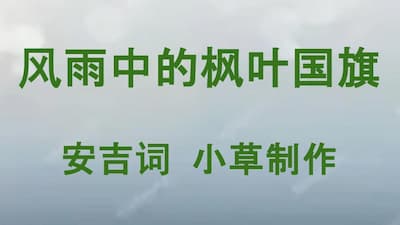 风雨中的枫叶国旗